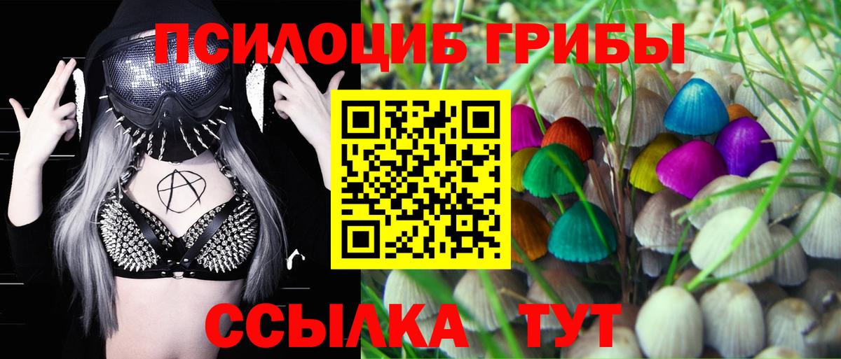 Псилоцибиновые грибы Psilocybine cubensis  Вход с VPN  Псилоцибиновые грибы ЛСД  Ленинск-Кузнецкий 